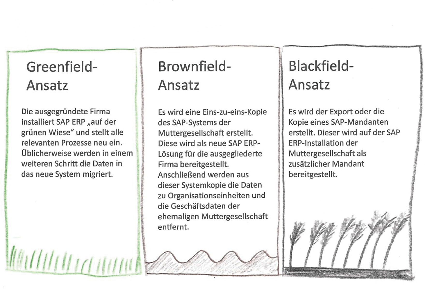 Greenfield-, Brownfield- und Blackfield-Ansatz am Beispiel von SAP ERP